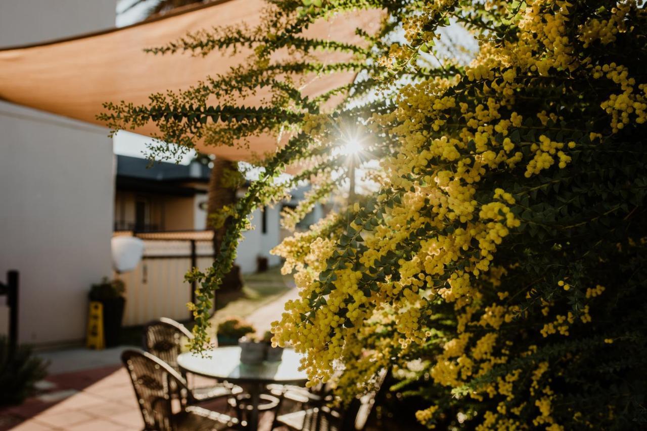 Terrace Motor Motel 4*